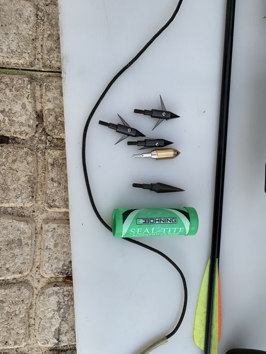 Besta para caça, pesca ou desporto