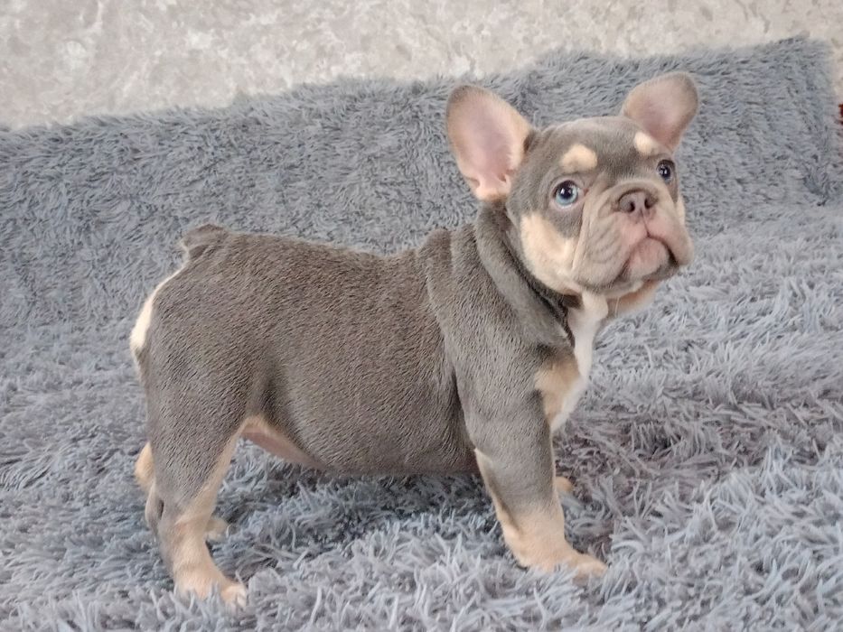 Розочка ждёт Вас