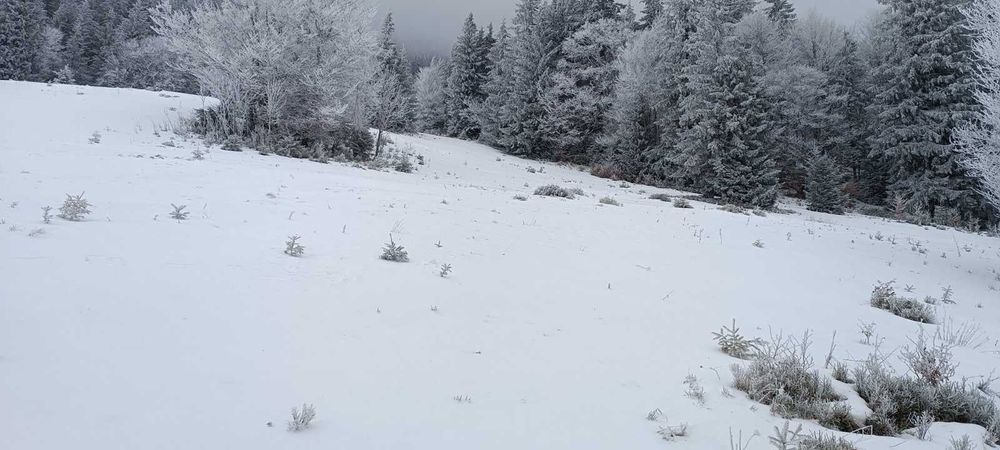 Земля в Закарпатті біля озера "Синевир"