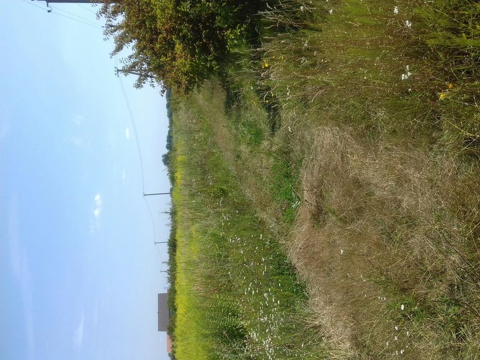 Продам власну земельну ділянку 19,7соток,с.Безп'ятне,Васильків