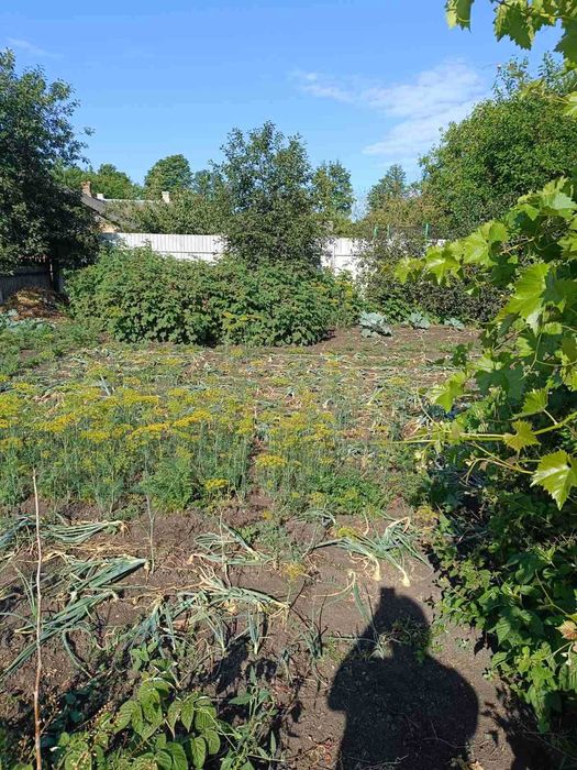 Срочно! Продам дом по улице Соборной в Подольске