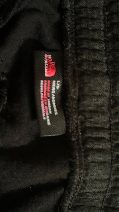 Оригинальные шорты TNF
