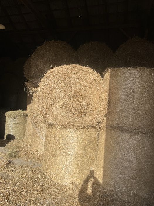 Słoma z pod dachu