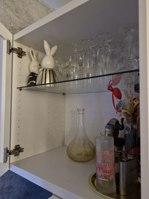 Szafka Besta z drzwiczkami szkło,IKEA