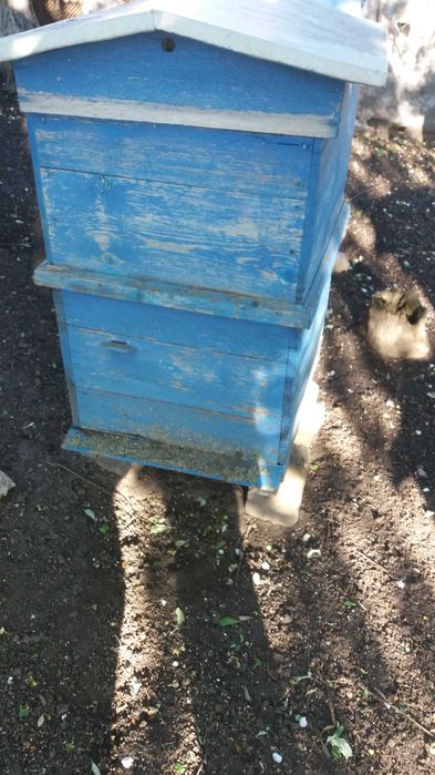 Продам вулики 2х корпуснi