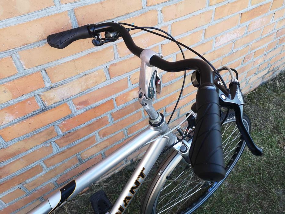 Rower męski holenderski GIANT Freerider