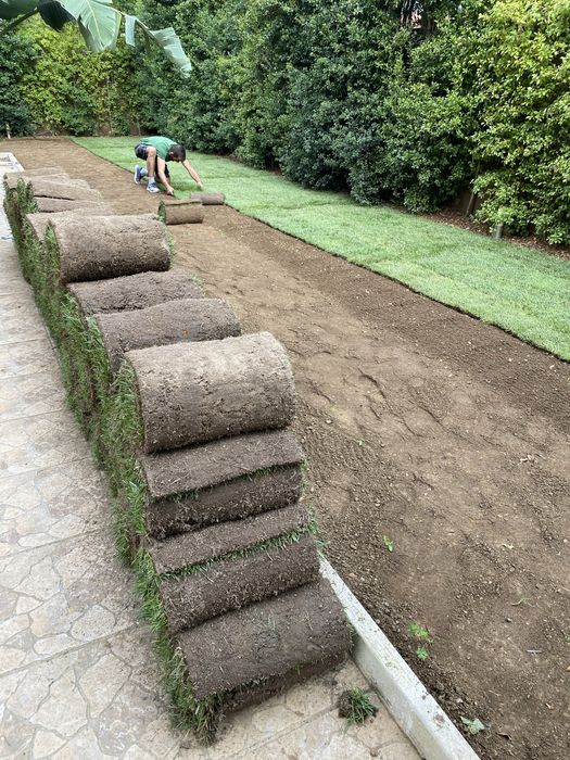 Serviço de jardinagem, limpeza de terrenos, poda de arvores