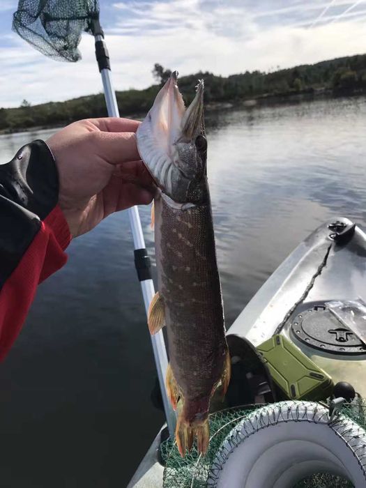 Kayak de pesca como novo 320x80cm