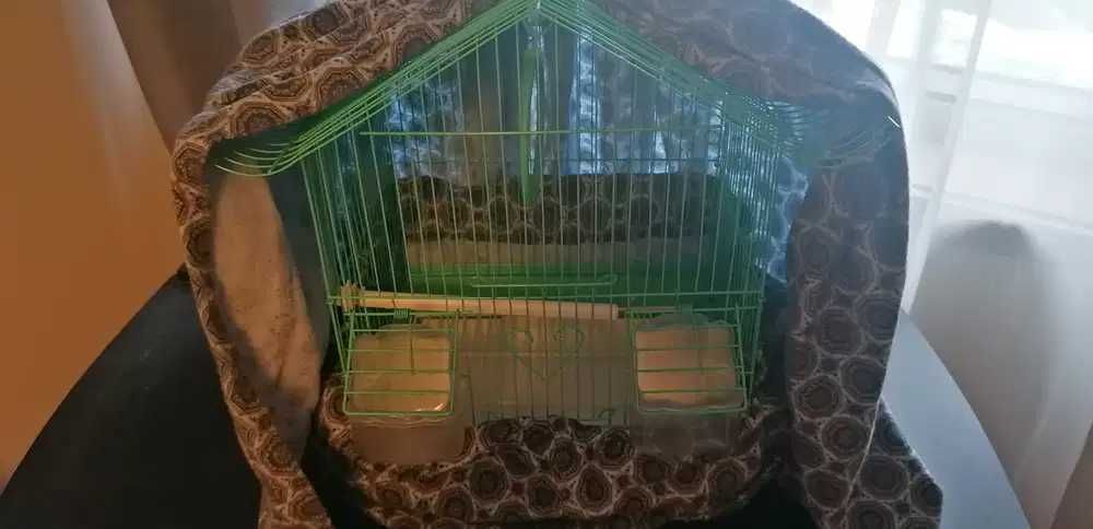 Gaiola para pássaro porte pequeno + coberturas + acessórios extra