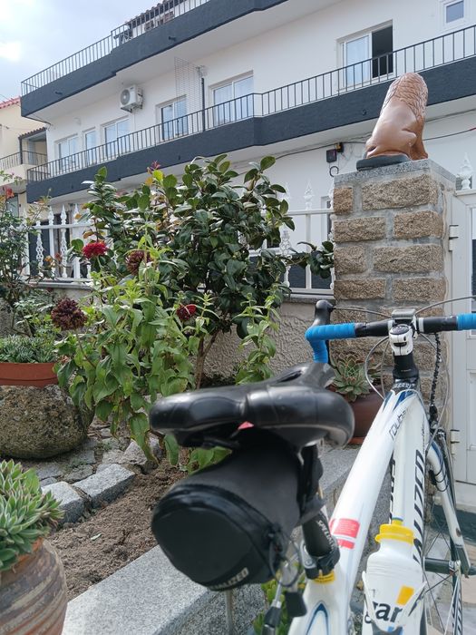 Bicicleta specialized