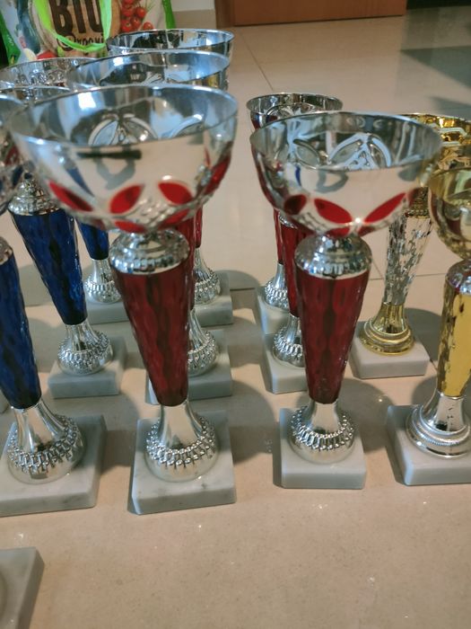 Taças / Troféus desportivos
