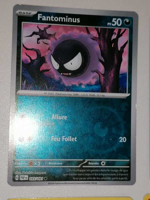 10 Cartas Pokémon Reverse Holo (Francês)