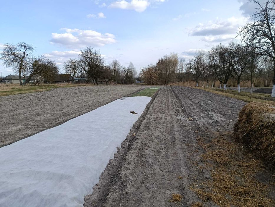 Земельна ділянка