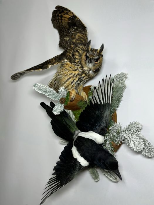 Таксидермія опудало