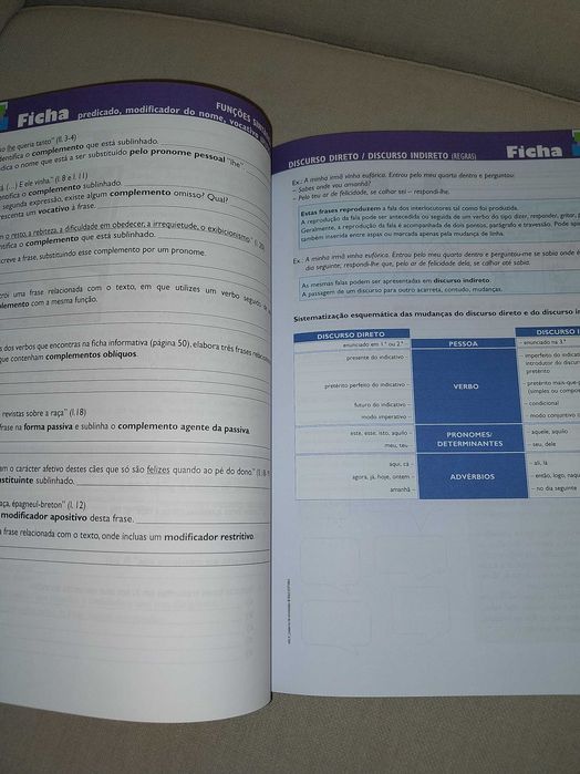 Caderno de Atividades 9ºano (raiz Editora)