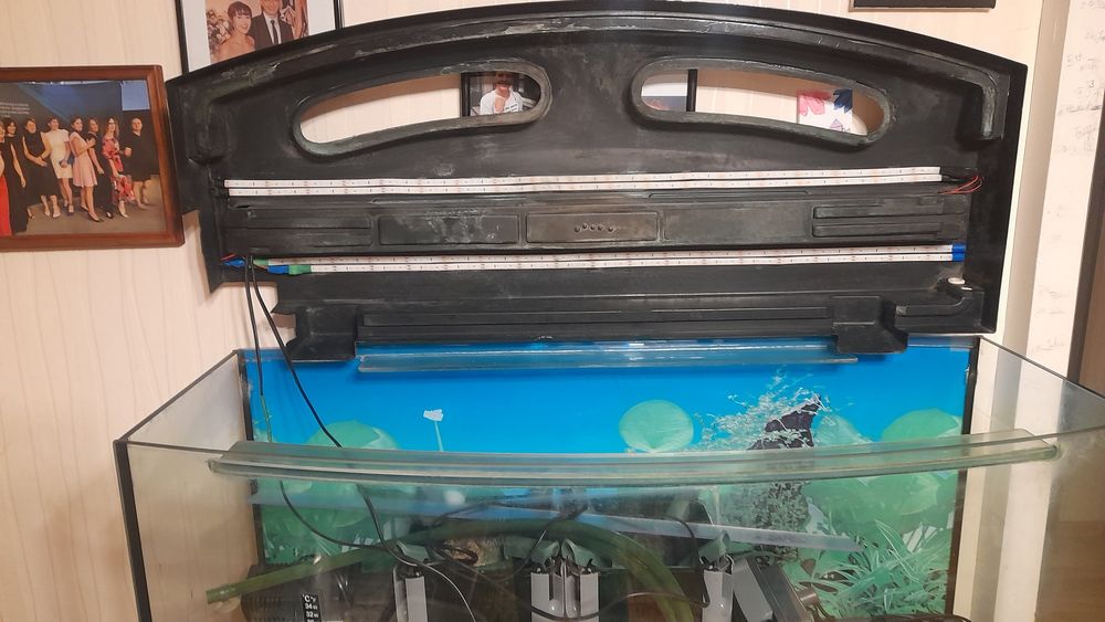 Panoramiczne akwarium o pojemności 200 litrów.