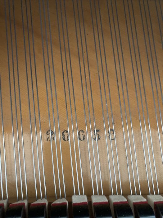 Piano de Cauda Bosendorfer