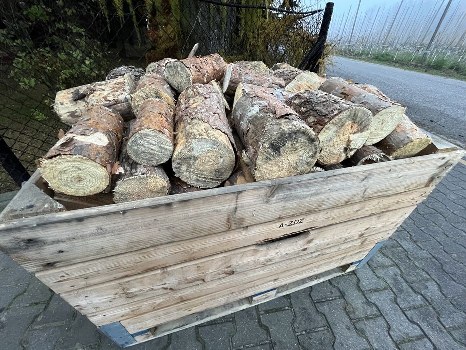 Drewno opałowe sosnowe pociete polupane suche drzewo do pieca kominka
