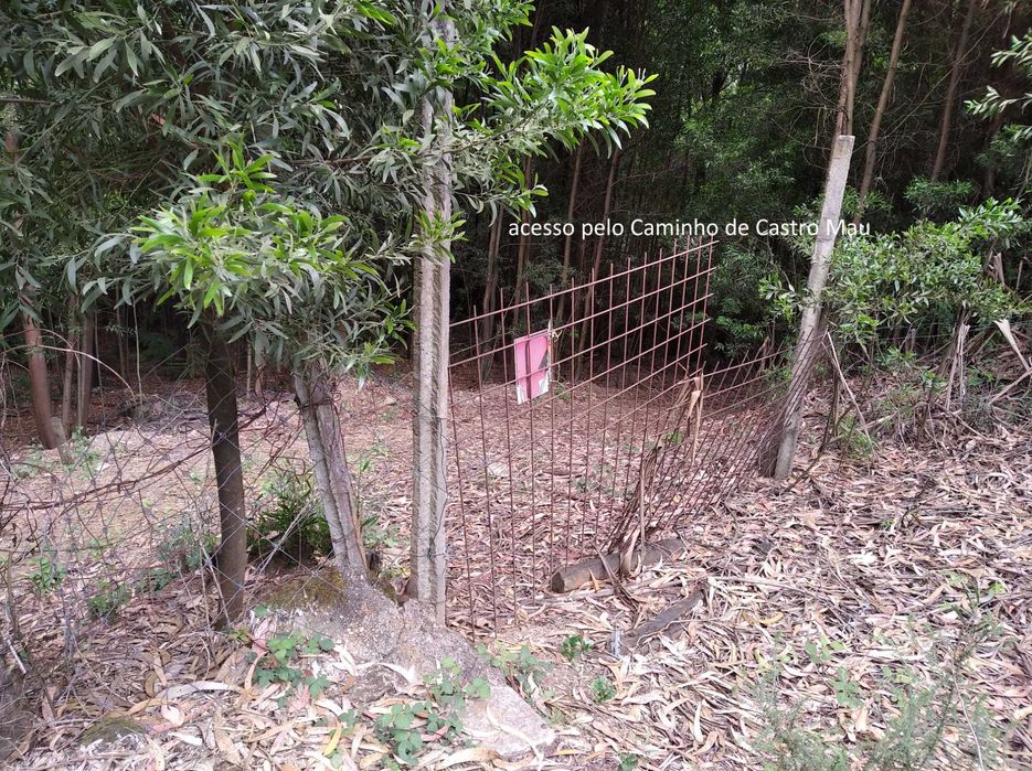 Terreno em Baguim do Monte com 6070M2 (rustico)