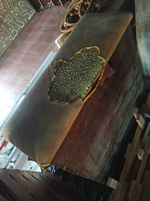 Gymnastics block64175185081858121