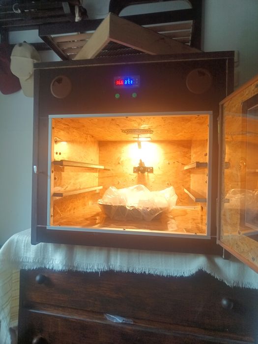 Inkubator pełen automat 70 jaj cieplarka + klujnik
