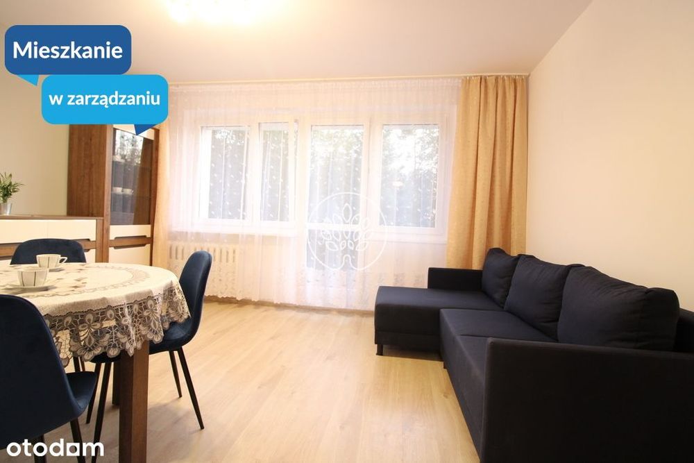 Zadbane mieszkanie dwupokojowe ul. Szpitalna 9