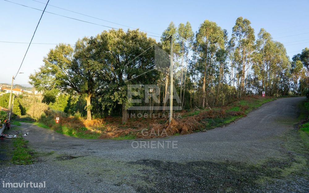 Terreno com 100 metros de frente