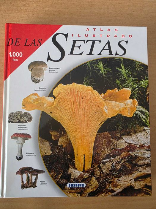 Livro "Atlas Ilustrado de las Setas" de Jean-Louis Lamaison