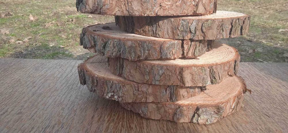 Plastry drewna, 5 sztuk, 25-30 cm, krążki drewniane, podstawki na stroiki, wesele