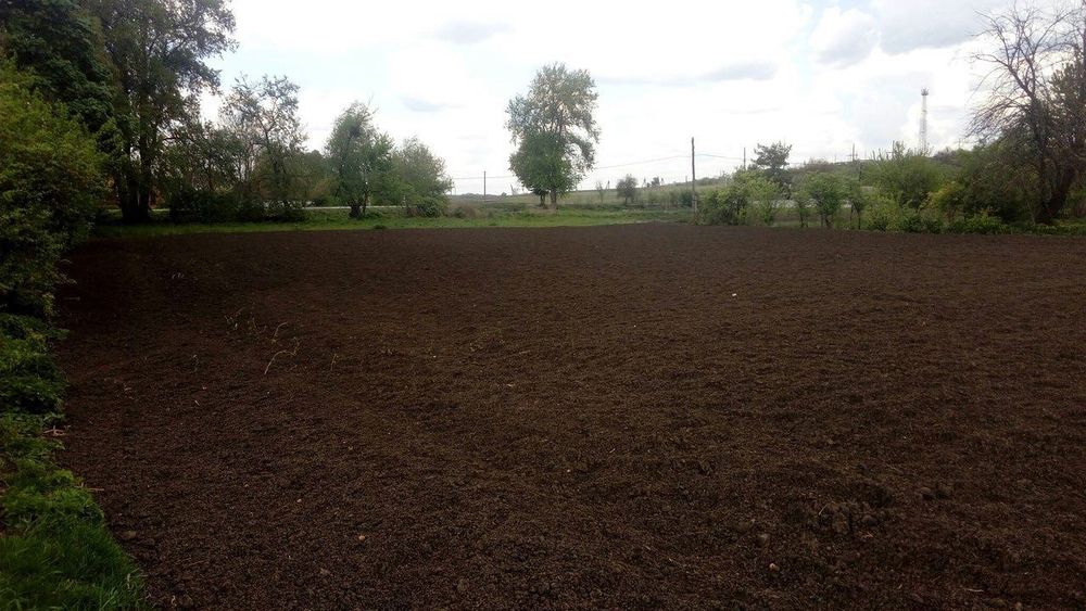 Продається будинок з земельною ділянкою