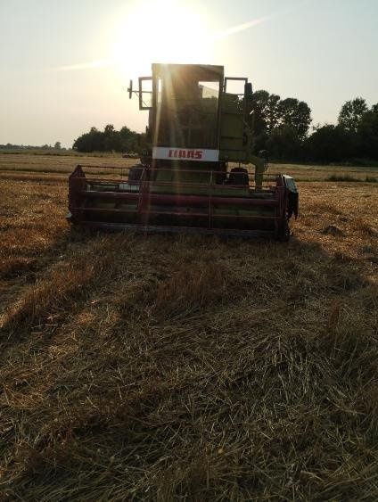 Kombajn Claas dominator 80