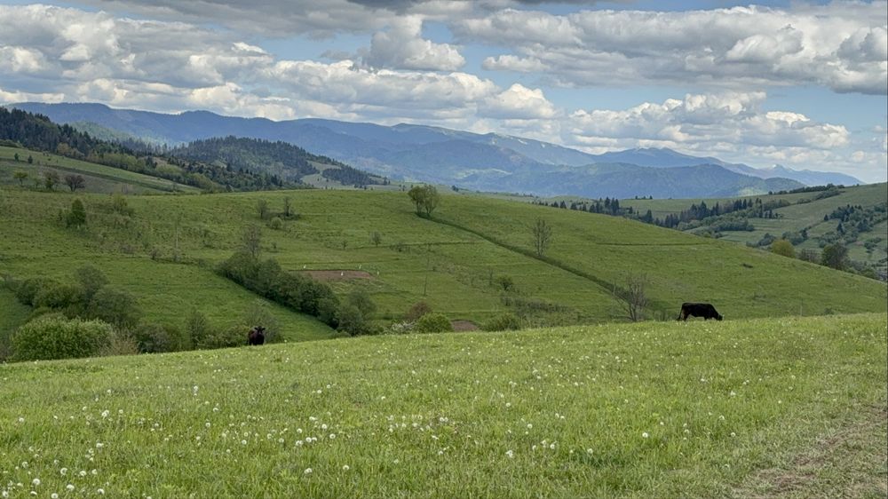 Продається ділянка у с. Річка з краєвидами