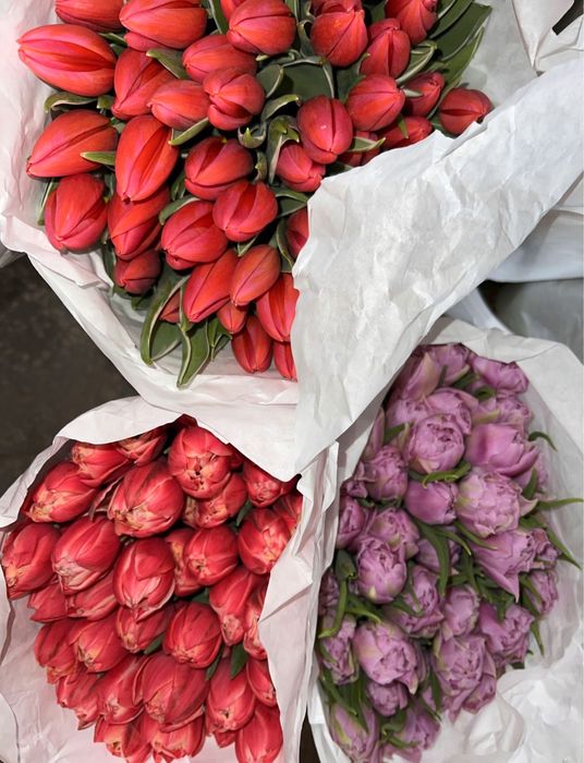 АКЦІЯ!! Тюльпани опт 8 березня, найнижча ціна у Києві