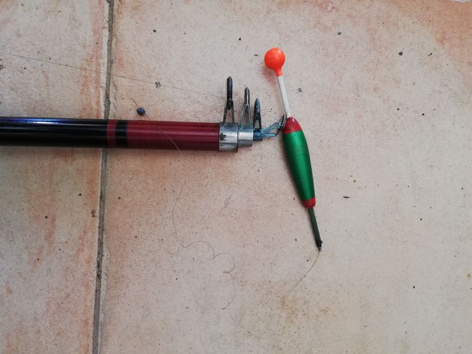 Canas de pesca pequenas