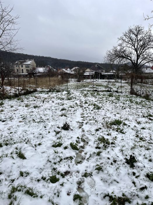 Будинок та 8 сотин землі