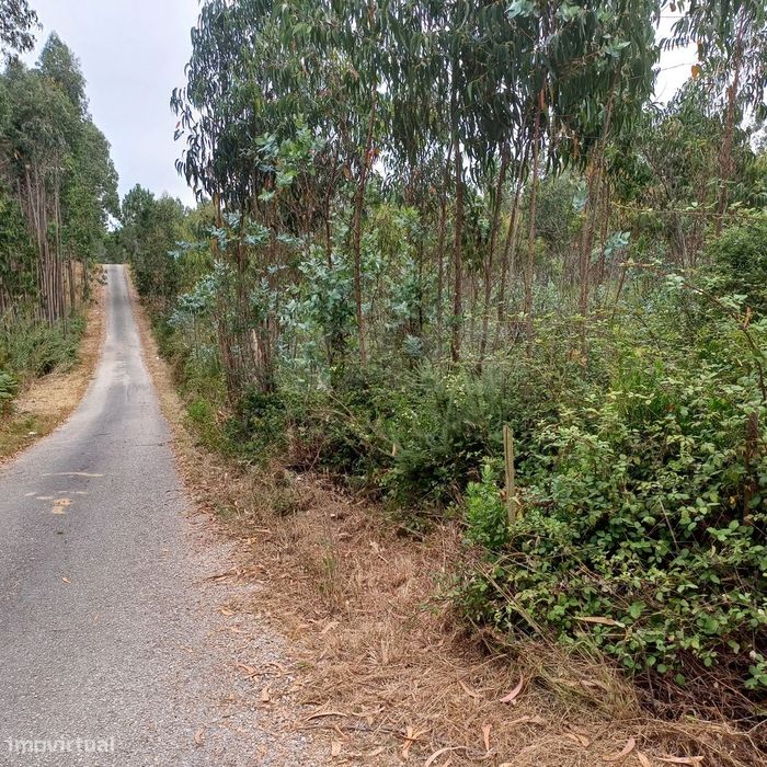 Terreno com viabilidade de construção de 3300m2 — Vidais, Leiria
