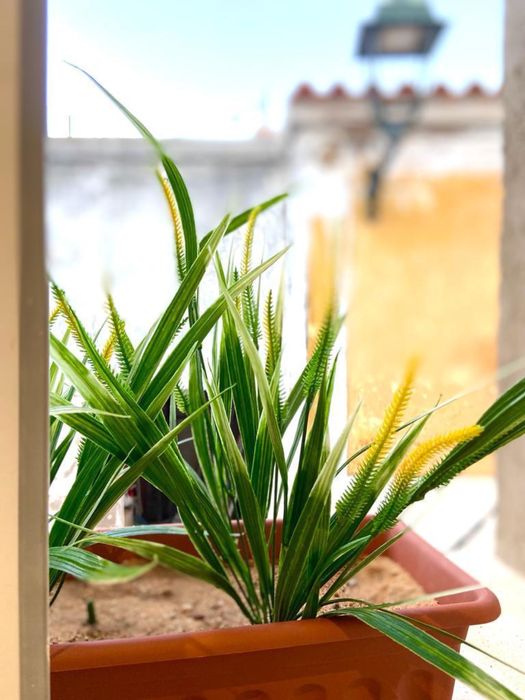 Moradia | Ferragudo | T1 junto à praia