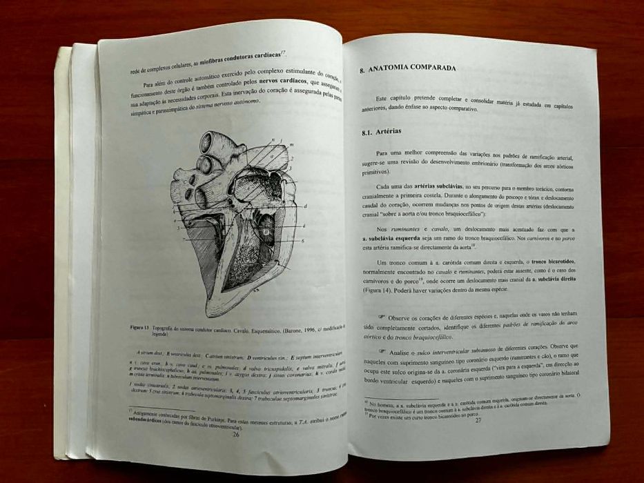 O Coração dos Mamíferos Domésticos - Plano de estudos e dissecacção