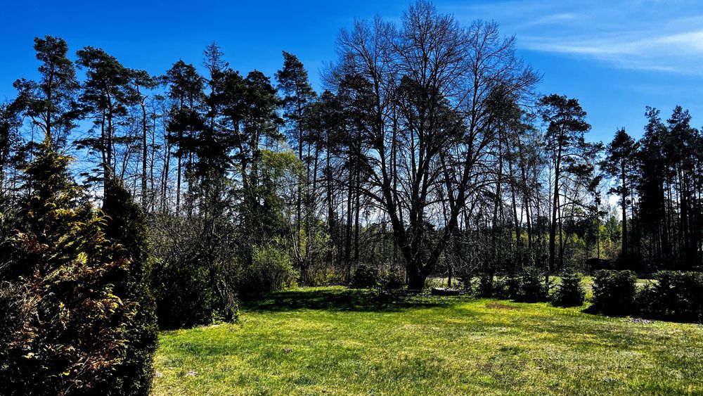 Przedwojenne gospodarstwo, dom na Mazurach – Kokoszki, Puszcza Piska siedlisko