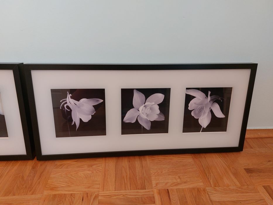 Zestaw 2 obrazów Ikea