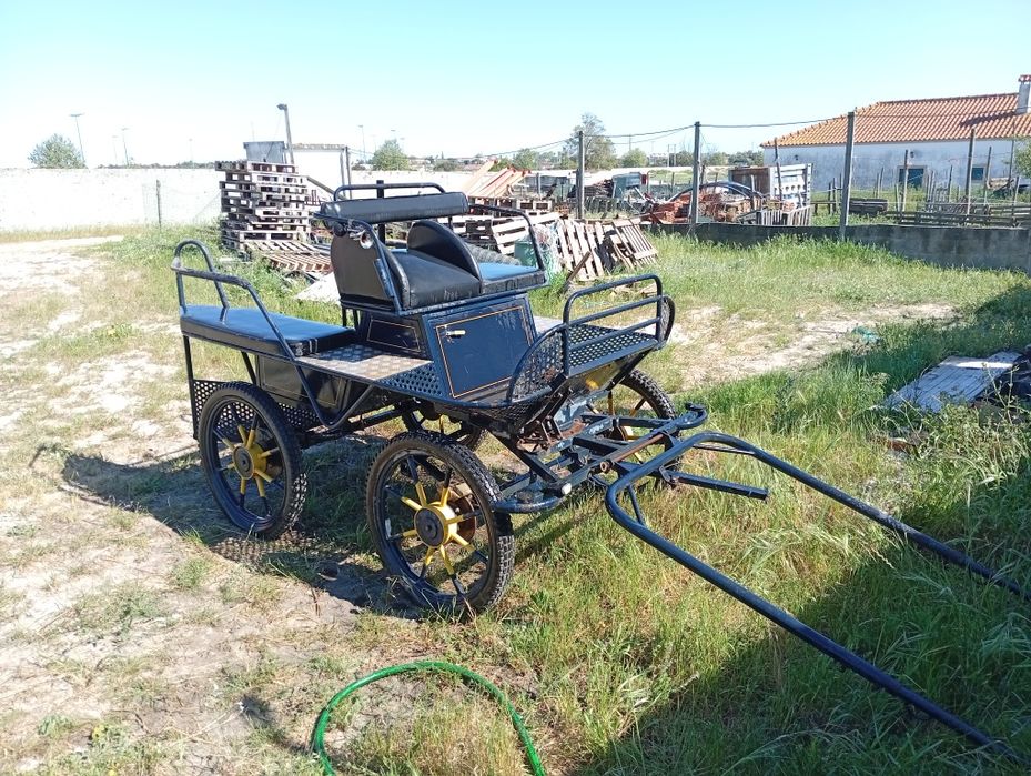 Maratona charrete para cavalo
