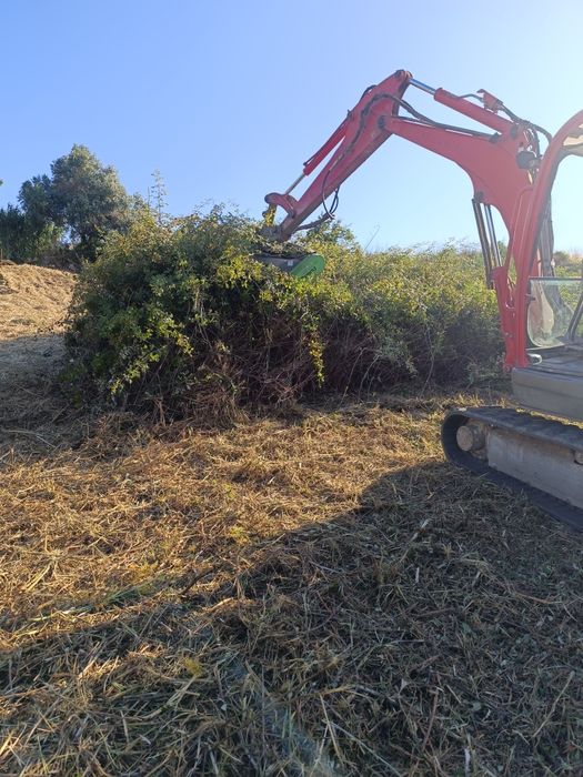 Serviço de Bobcat (destroçador florestal)