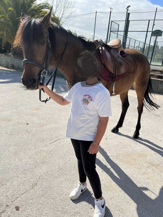 Égua cruzada Lusitano