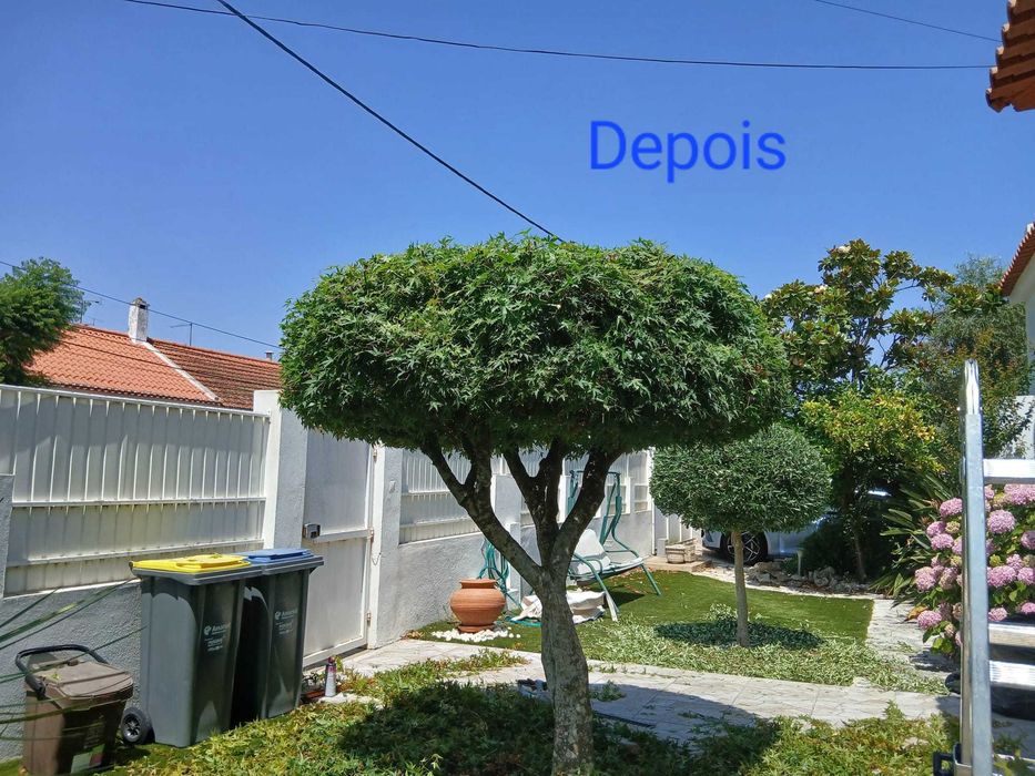 Manutenção de jardins e limpeza de terrenos - Preços acessíveis