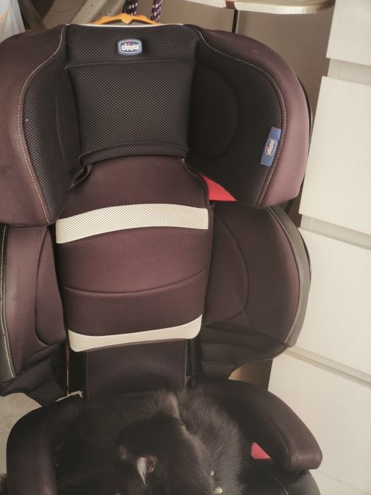 Cadeira de carro