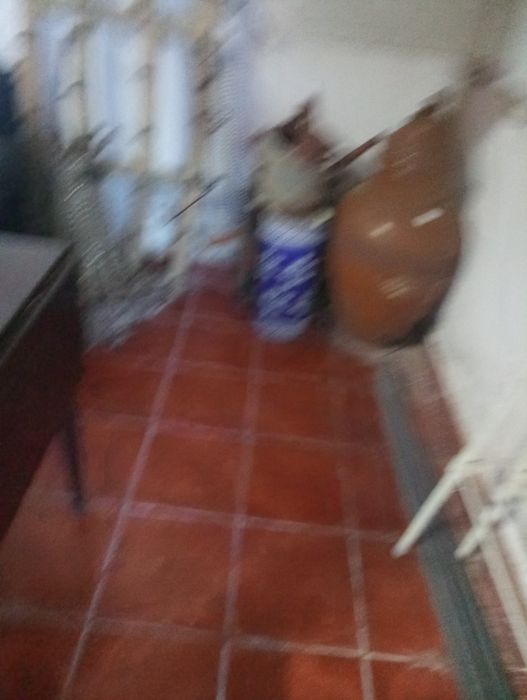 Recheio de loja de antiguidades