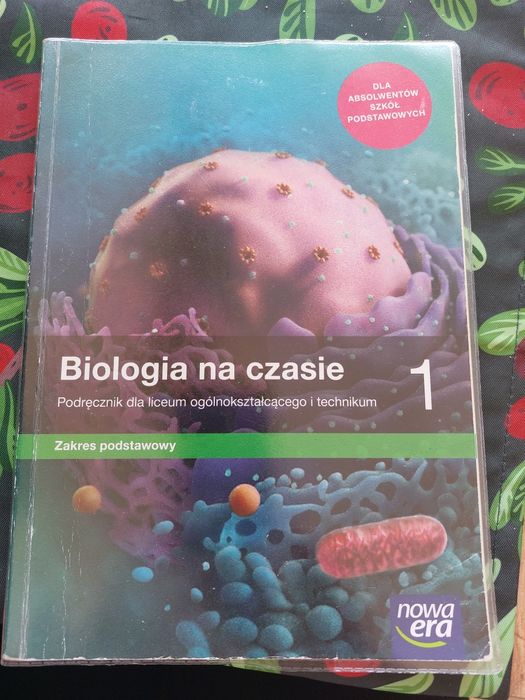 Podręczniki do liceum i technikum kl 1