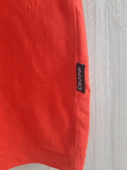 Koszulka męska/chłopięca Cropp