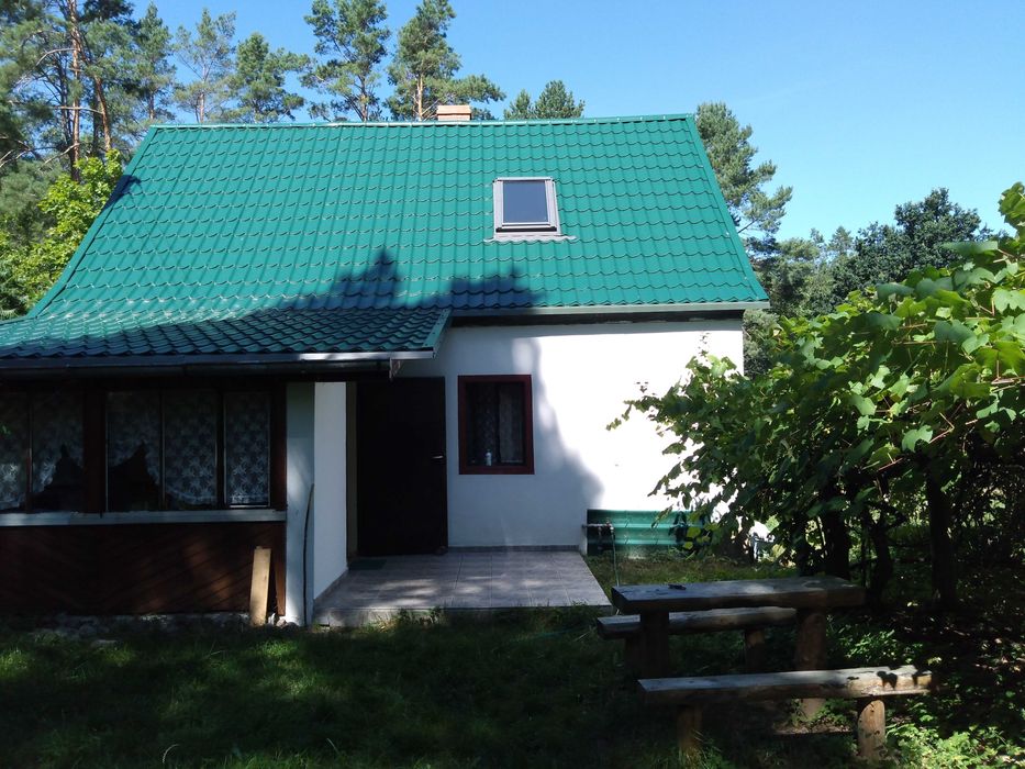 Domek z kominkiem, lasy, jeziora. Relaks gwarantowany!