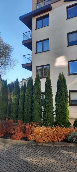 Do wynajęcia od zaraz – przestronne mieszkanie 60 m² przy ul. Reduta- bezpośrednio od właściciela